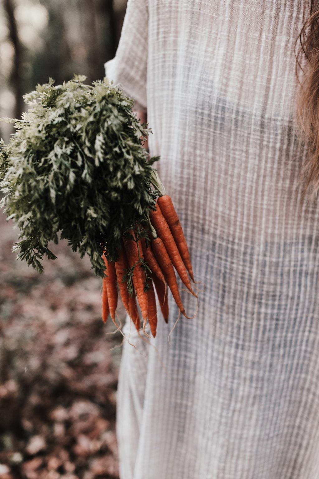 Alimentos buenos para la vista 【 10 alimentos que mejoran la visión Alimentos buenos para la vista 【 10 alimentos que mejoran la visión