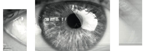 ojo en tonos grises que es la portada del ebook de retina